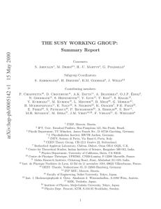 THE SUSY WORKING GROUP: Summary Report