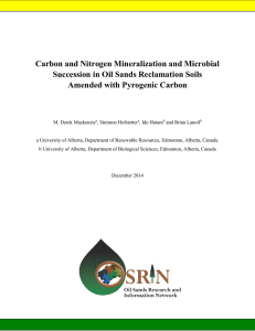 Carbon and Nitrogen Mineralization and Microbial Amended with Pyrogenic Carbon