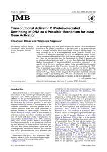 Transcriptional Activator C Protein-mediated Gene Activation