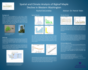 Spatial and Climate Analysis of Bigleaf Maple Decline in Western Washington Background