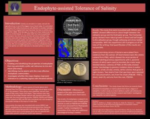 E ndophyte-assisted Tolerance of Salinity Introduction Anthony Bird