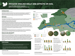 INVASIVE ENGLISH HOLLY AND EFFECTS ON SOIL Jacqueline Watts, Darlene Zabowski INTRODUCTION