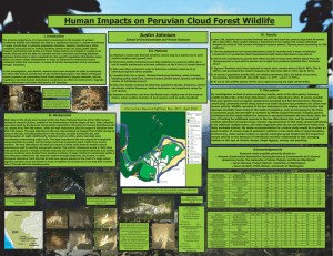 Human Impacts on Peruvian Cloud Forest Wildlife IV. Results I. Introduction