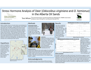 Odocoileus virginiana in the Alberta Oil Sands Introduction Methods