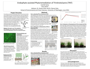 Endophyte‐assisted Phytoremediation of Trinitrotoluene (TNT)