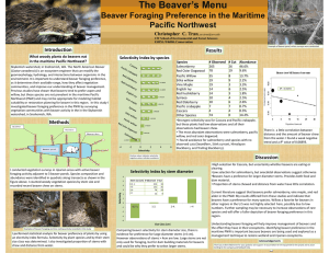 The Beaver’s Menu Beaver Foraging Preference in the Maritime Pacific Northwest