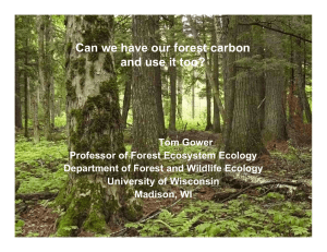 Can we have our forest carbon and use it too?