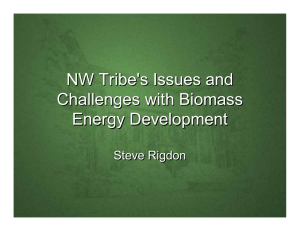 NW Tribe's Issues and Challenges with Biomass Energy Development Steve Rigdon