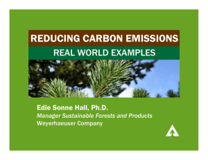 REDUCING CARBON EMISSIONS REAL WORLD EXAMPLES Edie Sonne Hall, Ph.D.