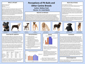Perceptions of Pit Bulls and Other Canine Breeds Myths About Pit Bulls