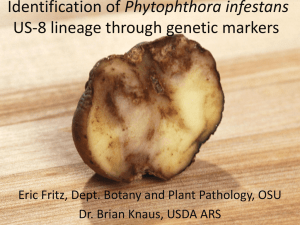 Phytophthora infestans Eric Fritz, Dept. Botany and Plant Pathology, OSU
