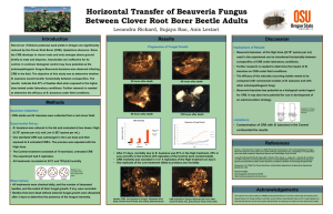 Horizontal Transfer of Beauveria Fungus Implications of Results: