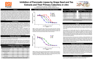Inhibition of Pancreatic Lipase by Grape Seed and Tea in vitro