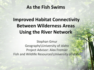 As the Fish Swims Improved Habitat Connectivity Between Wilderness Areas