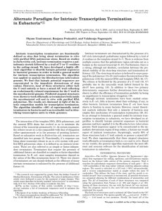 Alternate Paradigm for Intrinsic Transcription Termination in Eubacteria* □