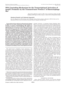 DNA Unwinding Mechanism for the Transcriptional Activation of Mu* momP1