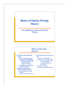 Basics of Option Pricing Theory What are the Value Drivers?