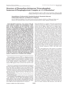 Plasmodium falciparum Isomerase-2-Phosphoglycerate Complex at 1.1-Å Resolution*