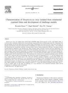 Characterization of Streptococcus iniae isolated from ornamental