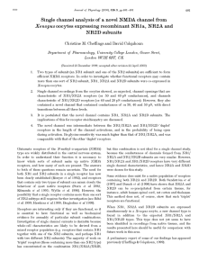 Single channel analysis of a novel NMDA channel from NR2D subunits