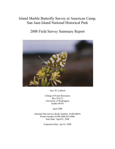 Island Marble Butterfly Survey at American Camp,