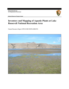 Inventory and Mapping of Aquatic Plants at Lake