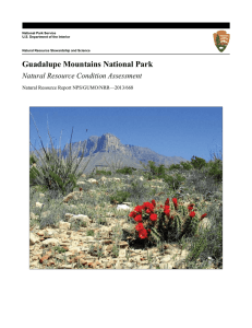 Guadalupe Mountains National Park Natural Resource Condition Assessment  Natural Resource Report NPS/GUMO/NRR—2013/668
