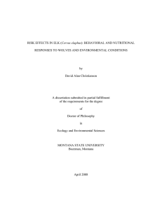 Cervus elaphus RESPONSES TO WOLVES AND ENVIRONMENTAL CONDITIONS by