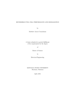 REVERSIBLE FUEL CELL PERFORMANCE AND DEGRADATION by Matthew Aaron Cornachione
