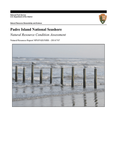 Padre Island National Seashore Natural Resource Condition Assessment  Natural Resource Report NPS/PAIS/NRR—2014/747