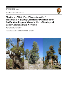 Pinus albicaulis, P. Pacific West Region - Klamath, Sierra Nevada, and