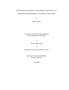 INTEGRATED MANAGEMENT OF THE WHEAT STEM SAWFLY BY by