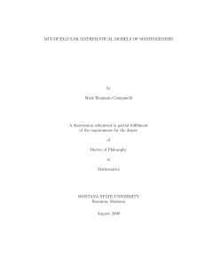 MULTICELLULAR MATHEMATICAL MODELS OF SOMITOGENESIS by Mark Benjamin Campanelli