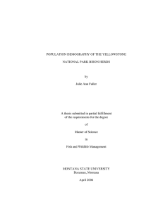 POPULATION DEMOGRAPHY OF THE YELLOWSTONE NATIONAL PARK BISON HERDS by