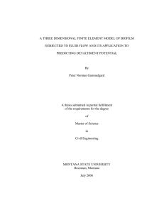 A THREE DIMENSIONAL FINITE ELEMENT MODEL OF BIOFILM PREDICTING DETACHMENT POTENTIAL