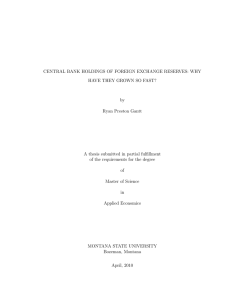 CENTRAL BANK HOLDINGS OF FOREIGN EXCHANGE RESERVES: WHY by Ryan Preston Gantt