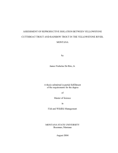 ASSESSMENT OF REPRODUCTIVE ISOLATION BETWEEN YELLOWSTONE