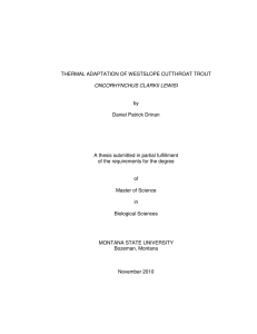 THERMAL ADAPTATION OF WESTSLOPE CUTTHROAT TROUT by Daniel Patrick Drinan