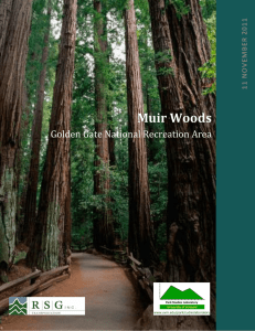 Muir Woods Golden Gate National Recreation Area 1
