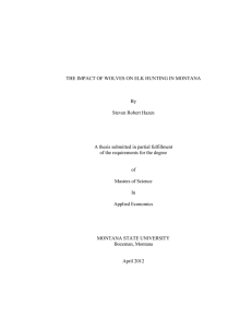 THE IMPACT OF WOLVES ON ELK HUNTING IN MONTANA By