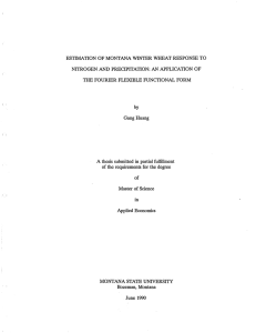 ESTIMATION OF MONTANA WINTER WHEAT RESPONSE TO