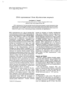 DNA topoisomerase I from Mycobacterium smegmatis