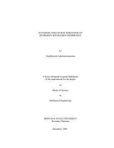 SYNTHESIS AND CHARACTERIZATION OF HYDROGEN SEPARATION MEMBRANES by