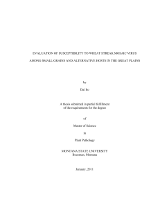 EVALUATION OF SUSCEPTIBILITY TO WHEAT STREAK MOSAIC VIRUS