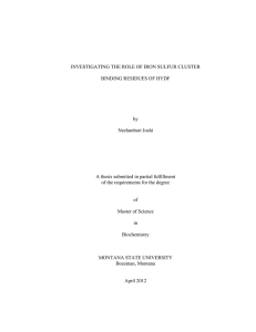 INVESTIGATING THE ROLE OF IRON SULFUR CLUSTER BINDING RESIDUES OF HYDF by