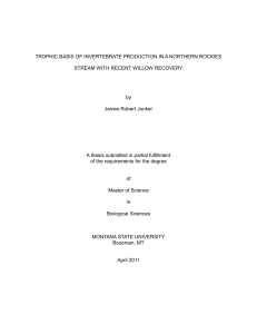 TROPHIC BASIS OF INVERTEBRATE PRODUCTION IN A NORTHERN ROCKIES by