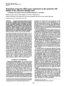 moni Regulation glycine expression in the posterior