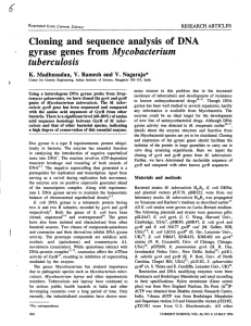 Cloning and sequence analysis of DNA gyrase genes from Mycobacterium tuberculosis