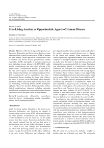 Ashdin Publishing Journal of Neuroparasitology doi:10.4303/jnp/N100802