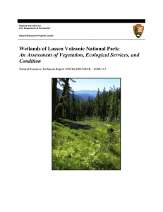   An Assessment of Vegetation, Ecological Services, and  Condition Natural Resource Technical Report NPS/KLMN/NRTR—2008/113